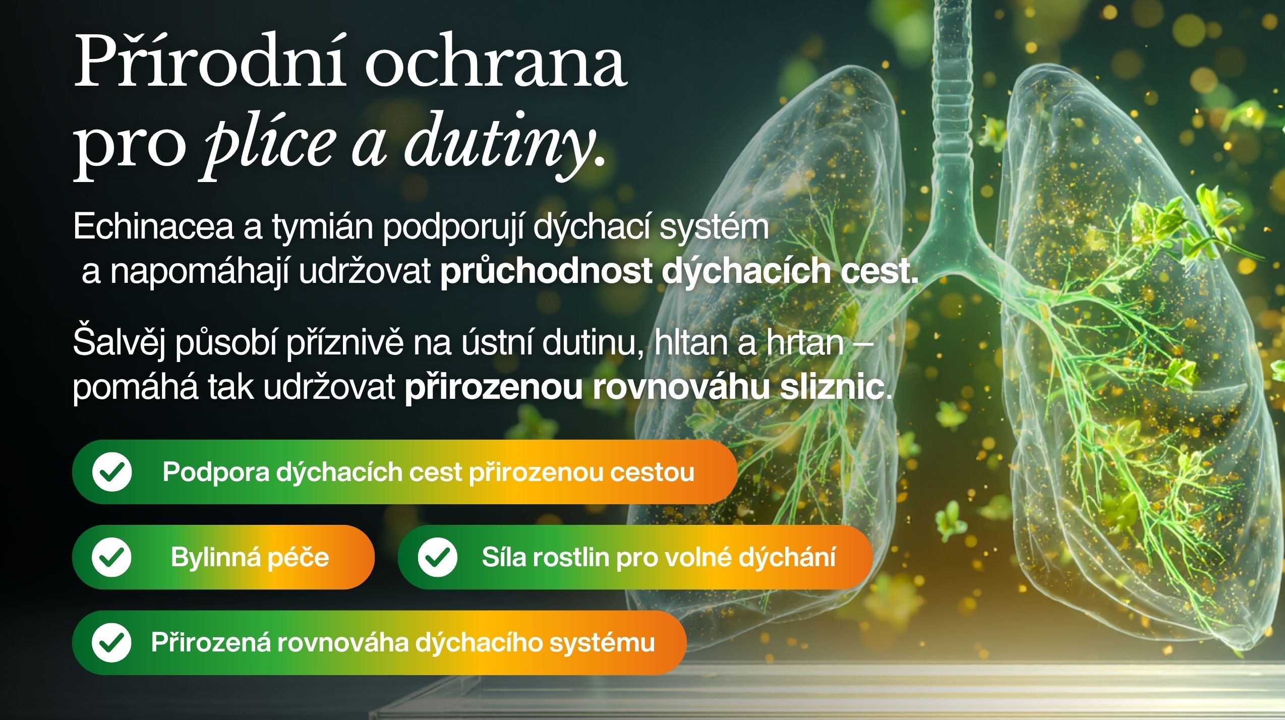 Betaglukan PREMIUM ULTRA IMUNITA KOMPLEX (+ Reishi, kurkuma, vitální houby, bylinné extrakty, Glutathion, NAC), 20 nejúčinnějších přírodních látek pro imunitu, 60 kapslí -4